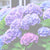 Mother's Day and Gratitude