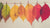 Midwest Final Fall Clean Up