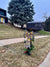 How to Create a Festive Mailbox That Spreads Holiday Cheer (and Survives the Neighborhood Dogs)