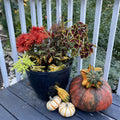 Simple Tips to Convert Your Porch from Summer to Fall