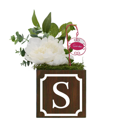 shop by brands