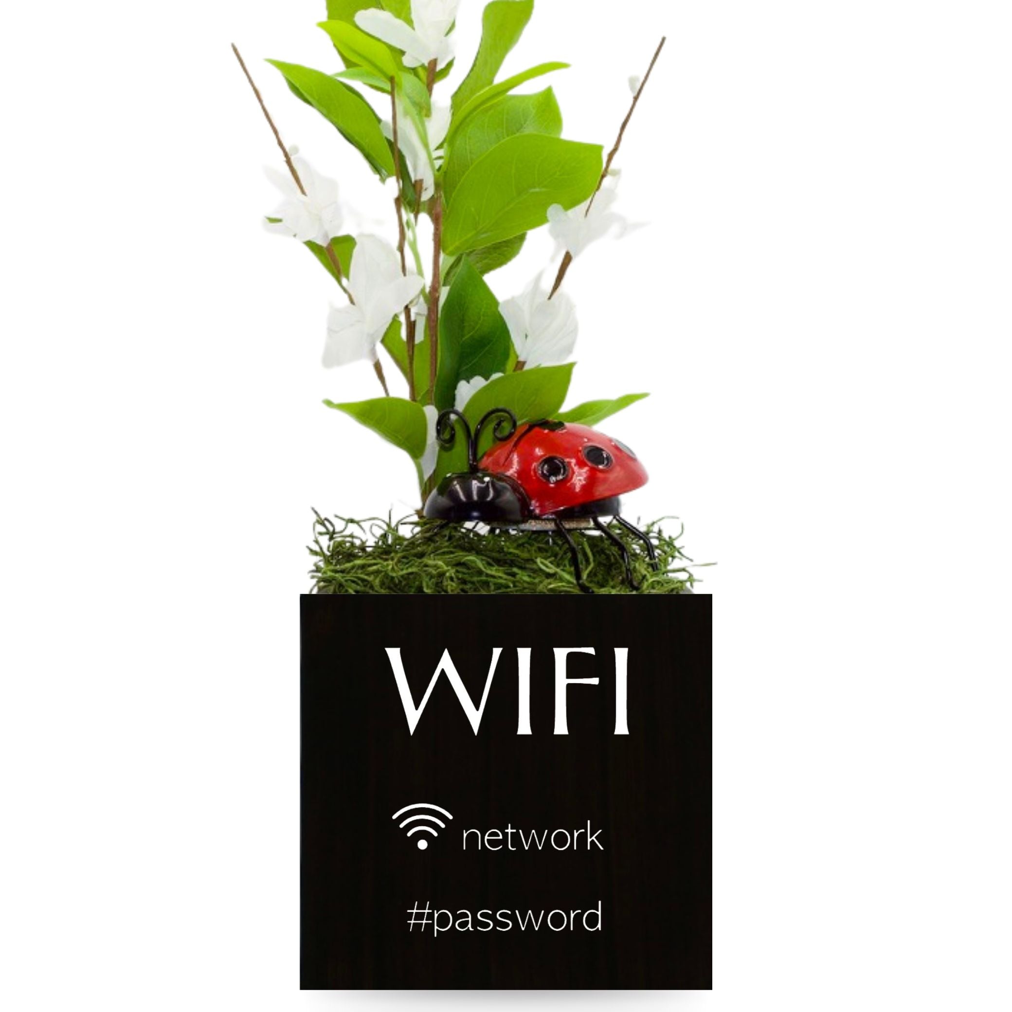 Little Envy Wifi Network Custom Box