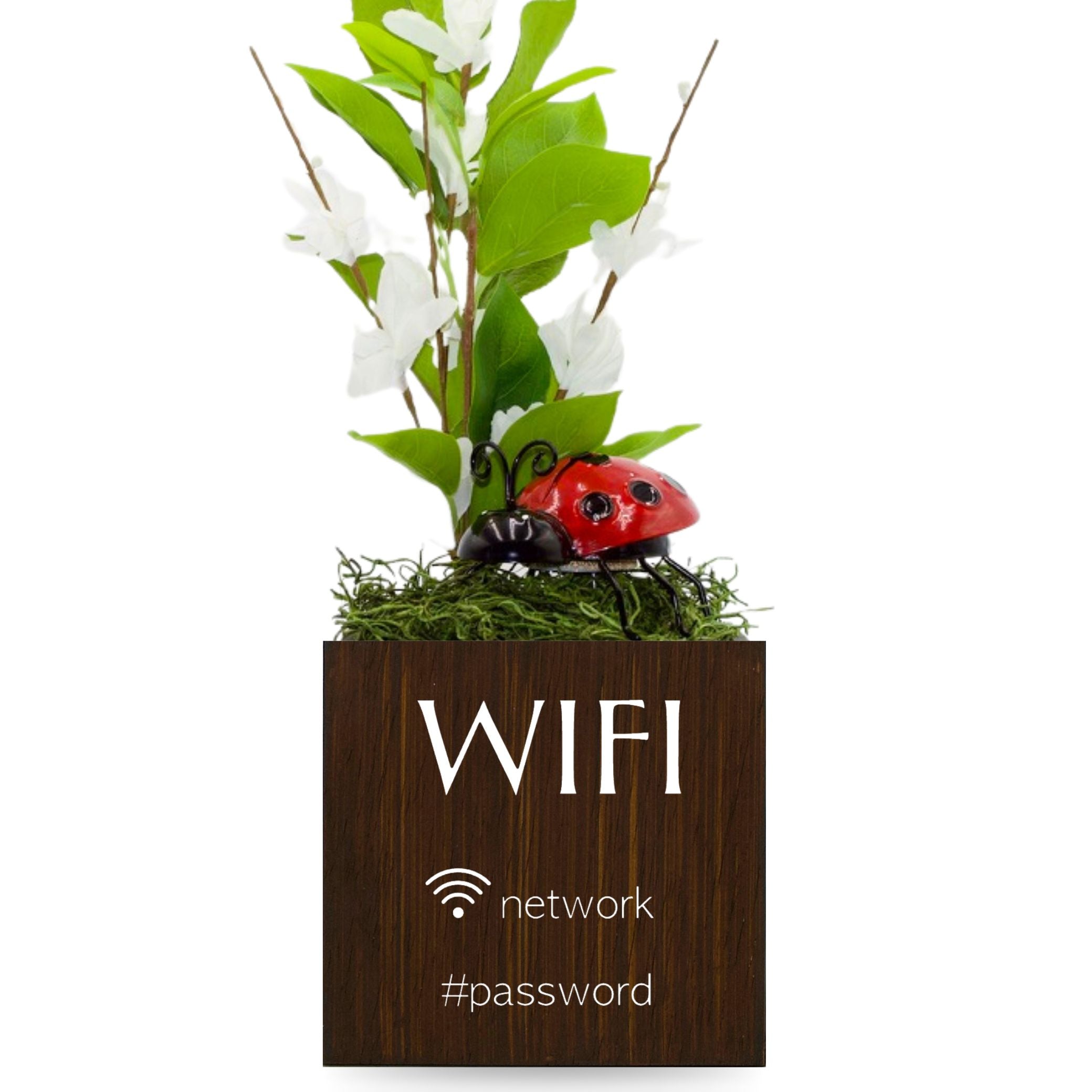 Little Envy Wifi Network Custom Box