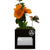 Business Envy Custom Logo Box