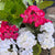 Artificial Planter Filler