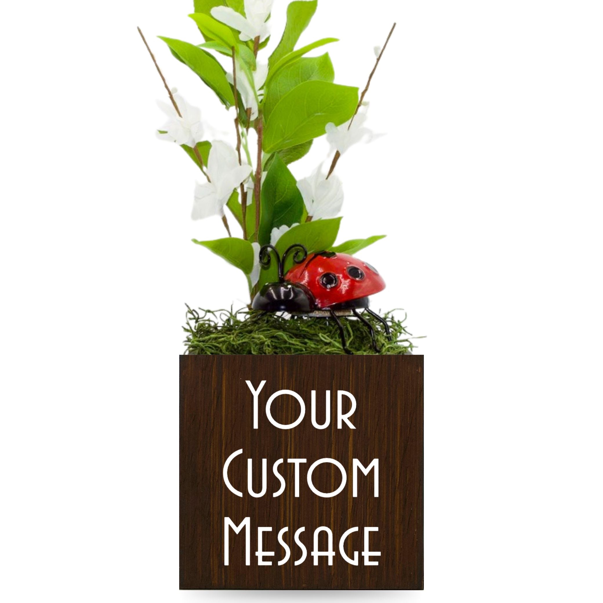 Little Envy Custom Message Box