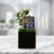 Graduation Special Occasion Box