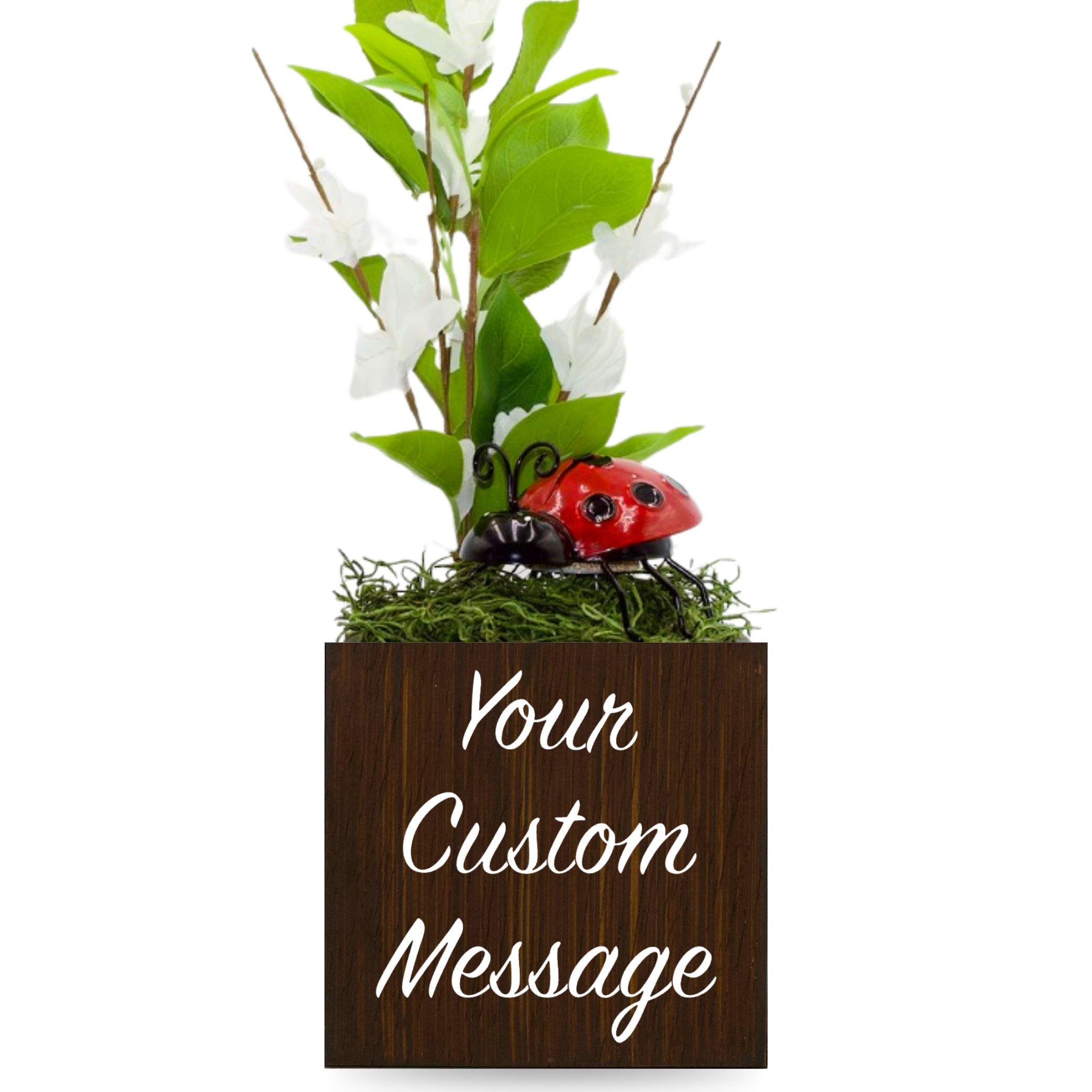 Little Envy Custom Message Box