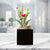 Remembrance Cardinal Special Occasion Box
