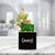 St. Patrick's Day Special Occasion Box
