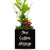 Little Envy Custom Message Box