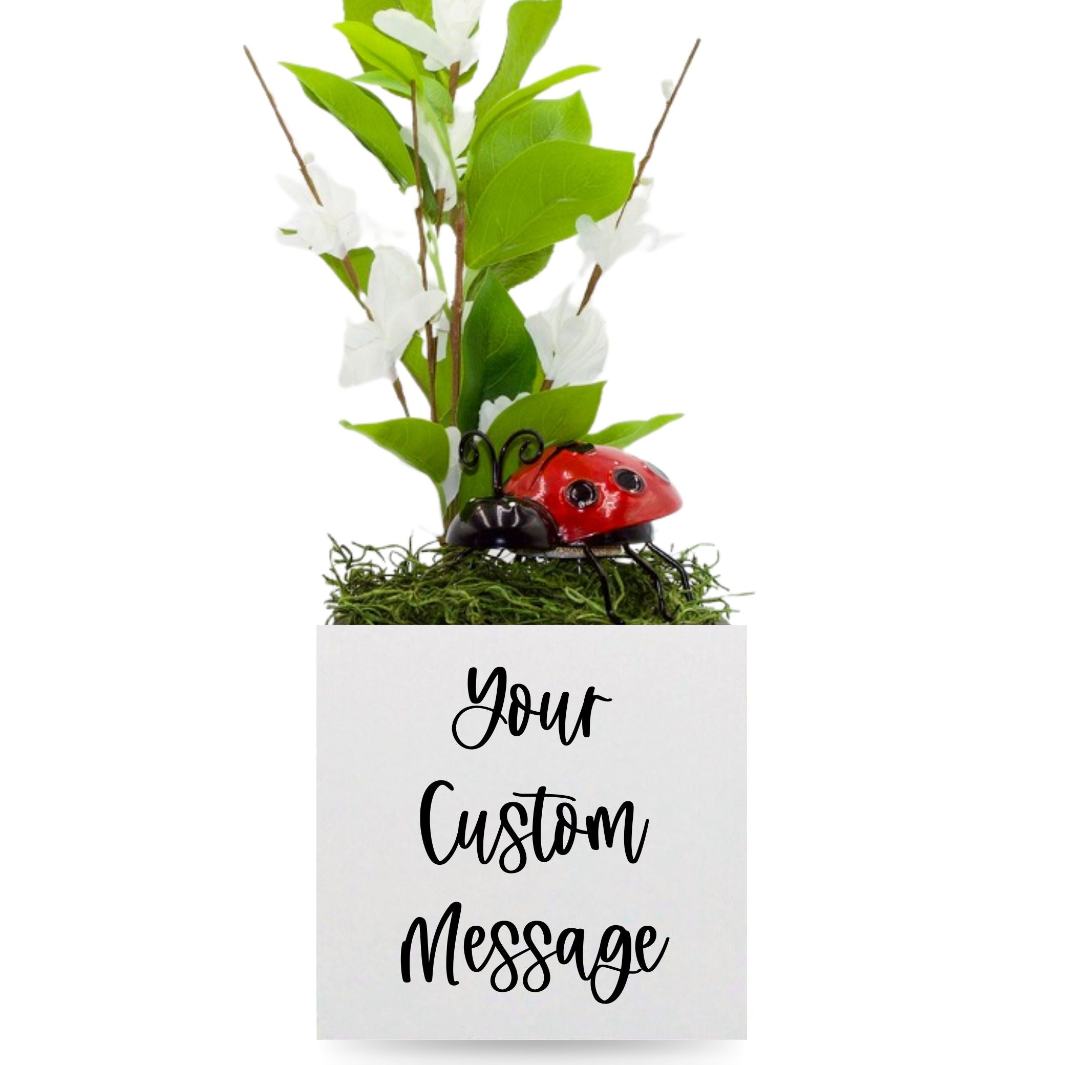 Little Envy Custom Message Box