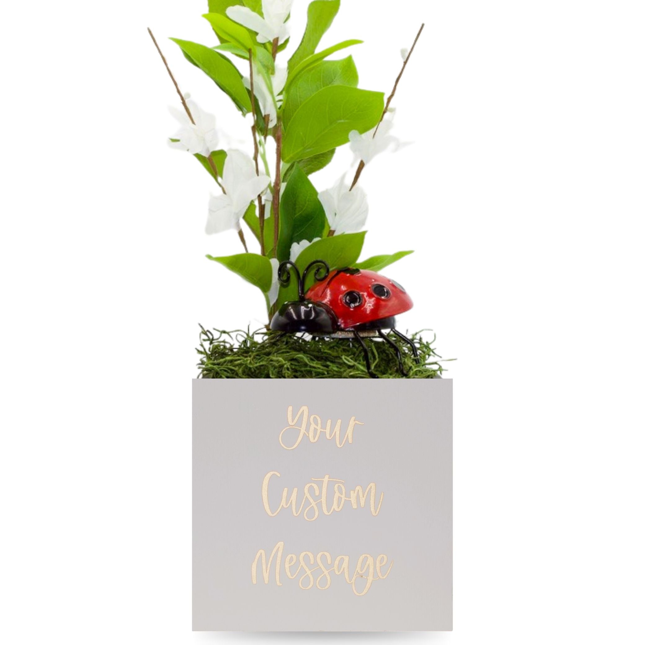 Little Envy Custom Message Box
