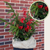 Artificial Planter Filler