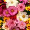 How to Cheer Up a Nursing Home Resident