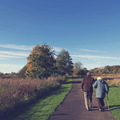 How to Help Seniors Stay Connected with Their Family