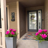 Curb Appeal Boosters That Don’t Break the Bank