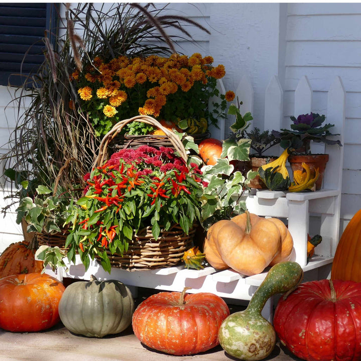Fall Decorating Ideas for Warm First Impressions