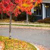 Best Fall Porch Decor to Keep Your Home Festive