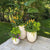 outdoor-planters-101-choosing-the-perfect-style