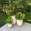 Outdoor Planters 101: Choosing the Perfect Style for Your Home