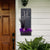 The Black Cat Halloween Box
