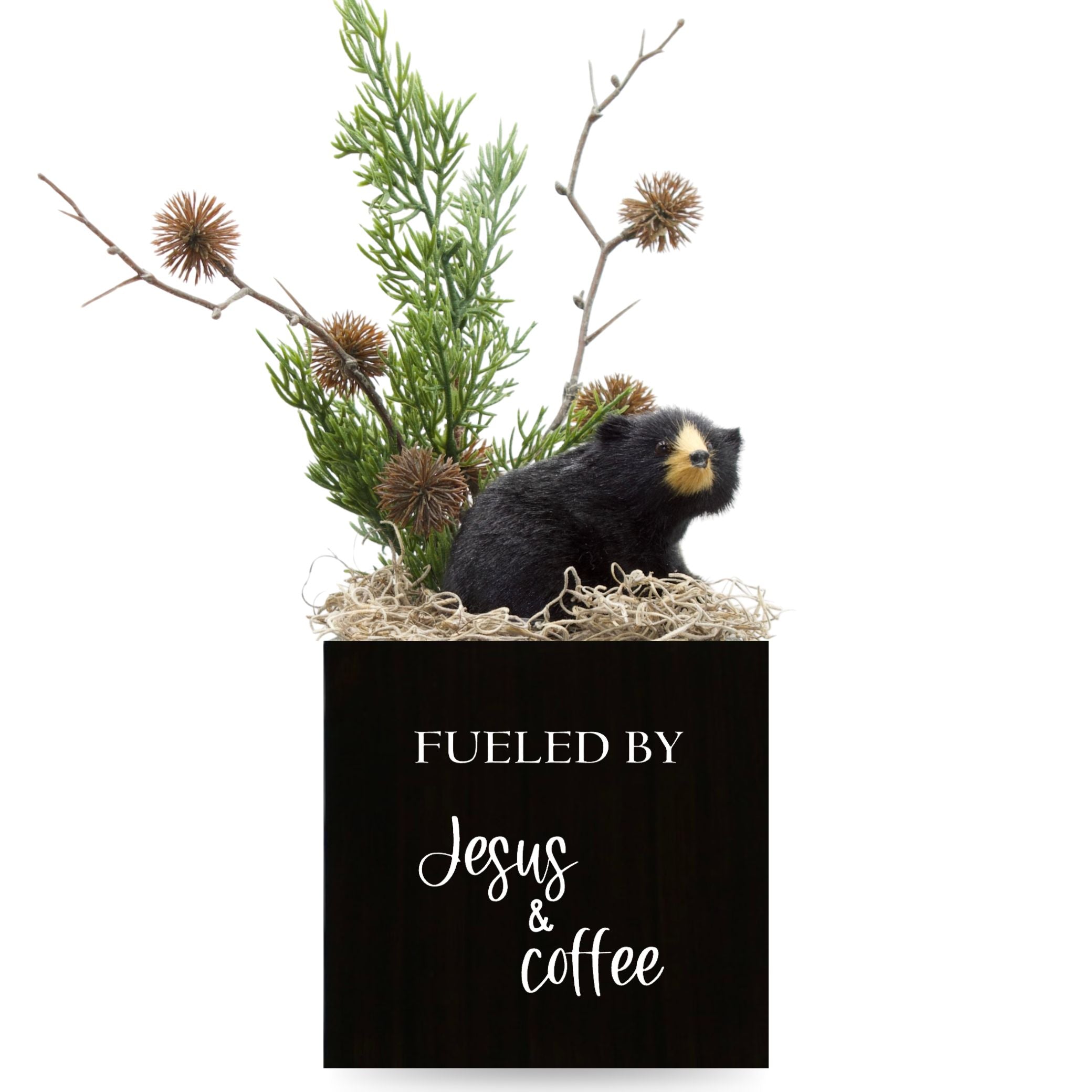 Little Envy Fueled by Jesus & Coffee Box