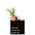 Little Envy Get Up Dress Up Box