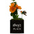 Little Envy Custom Name Box