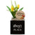 Little Envy Custom Name Box