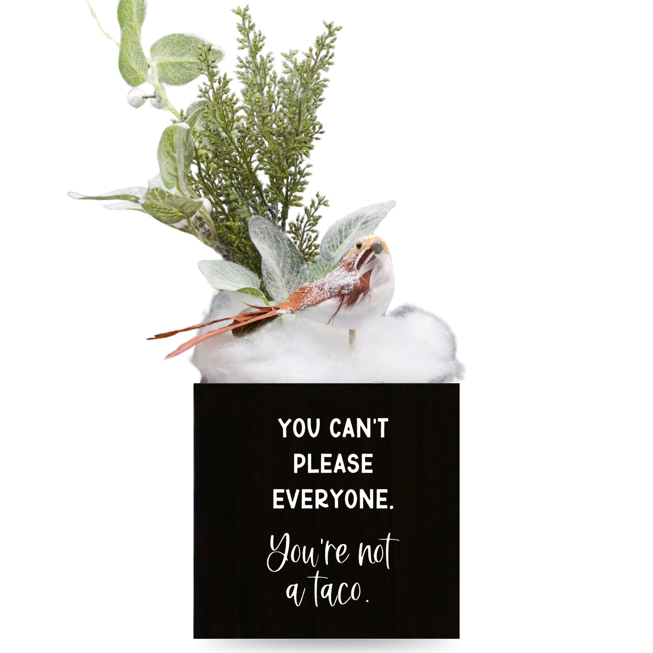 Little Envy You Aren't a Taco Box