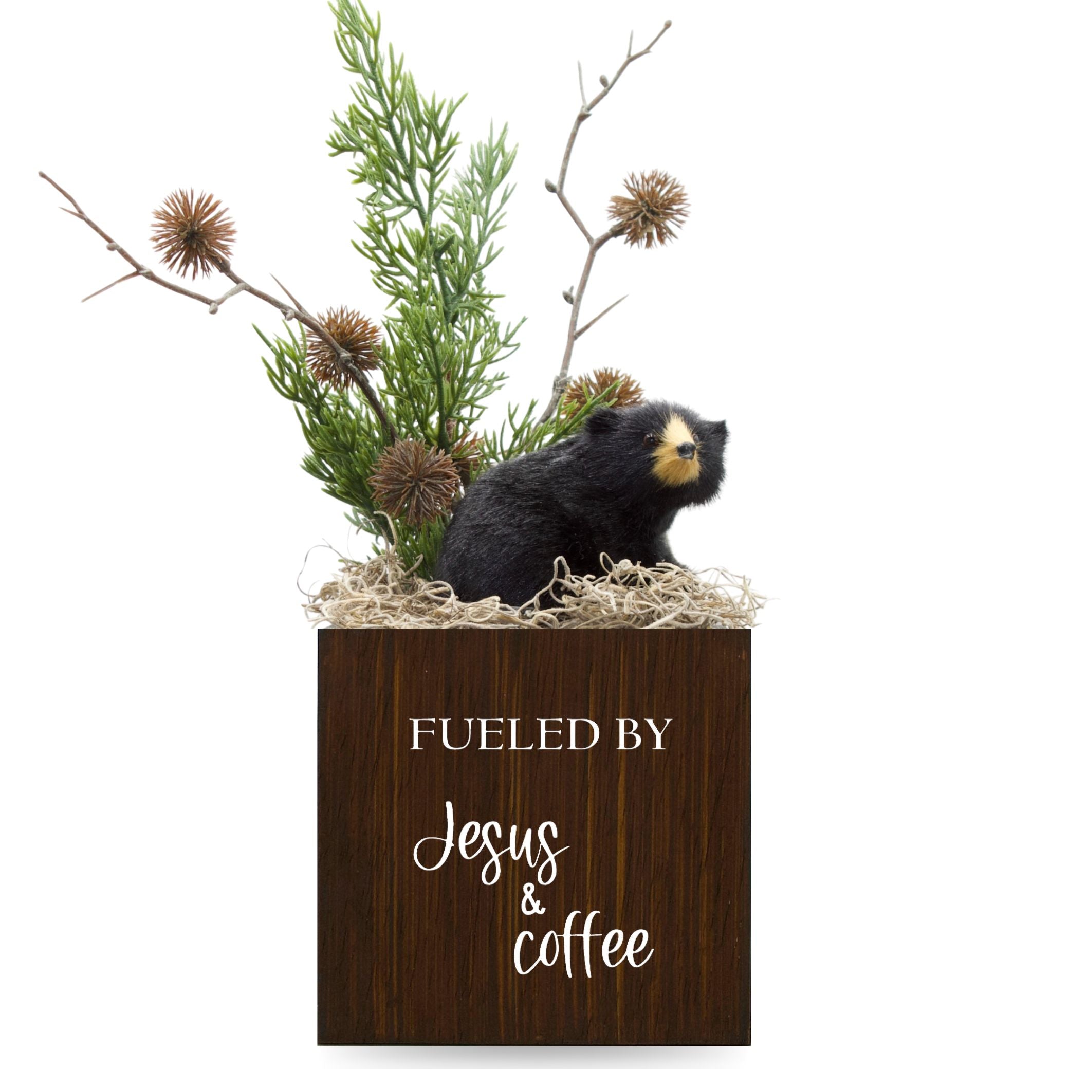 Little Envy Fueled by Jesus & Coffee Box