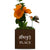 Little Envy Custom Name Box