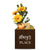 Little Envy Custom Name Box