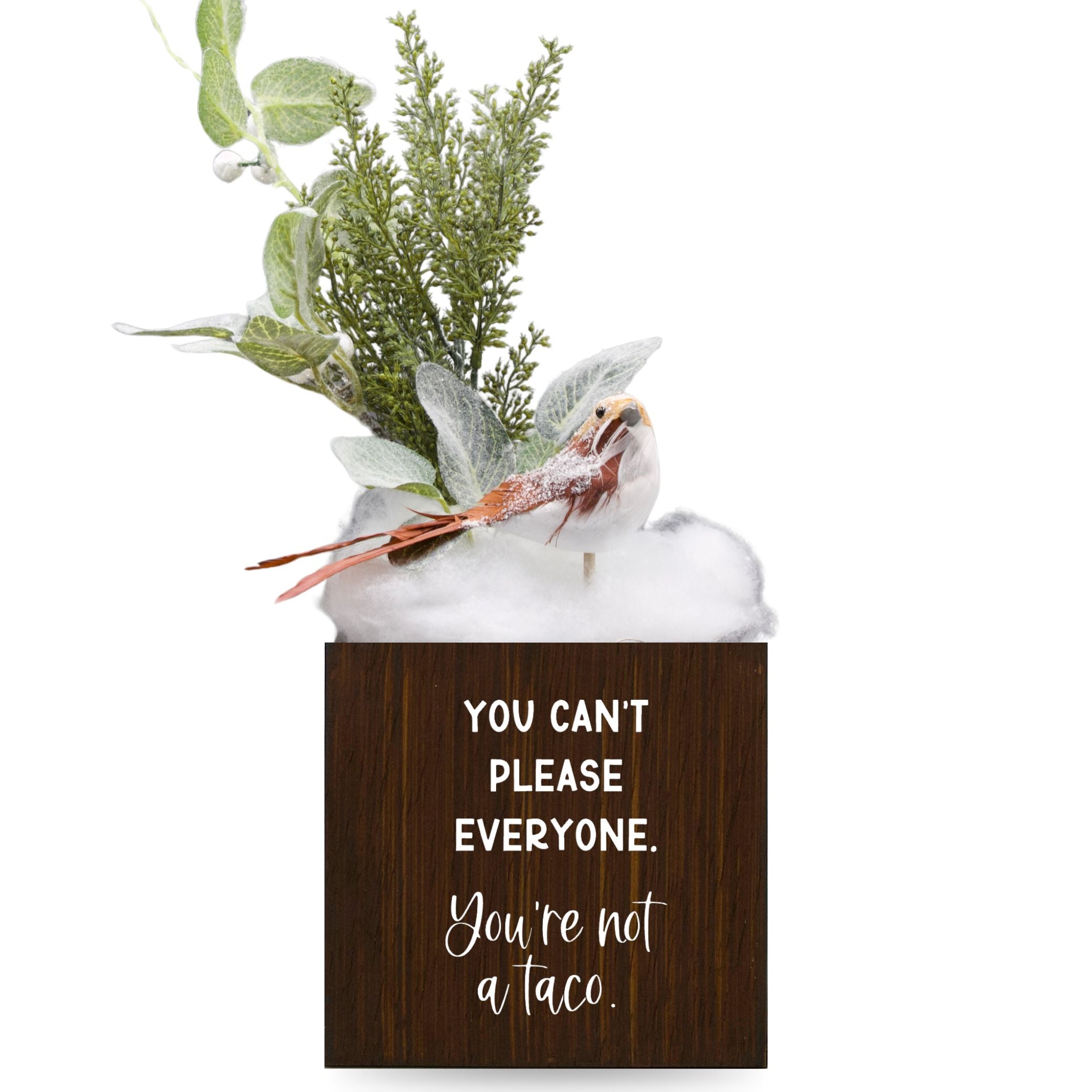 Little Envy You Aren't a Taco Box