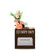 Business Envy Card Holder with Social Handle (optional)