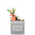 Business Envy Card Holder with Social Handle (optional)