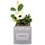 Business Envy Card Holder with Social Handle (optional)
