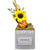 Business Envy Card Holder with Social Handle (optional)