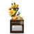 Business Envy Custom Logo Box