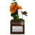 Business Envy Custom Logo Box