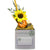 Business Envy Custom Logo Box