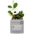 Business Envy Custom Logo Box