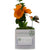 Business Envy Custom Logo Box