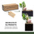 Exclusive Decor Kits - Autoship