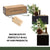 Exclusive Seasonal Decor Box