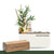 Exclusive Seasonal Decor Kits - Quarterly Autoship