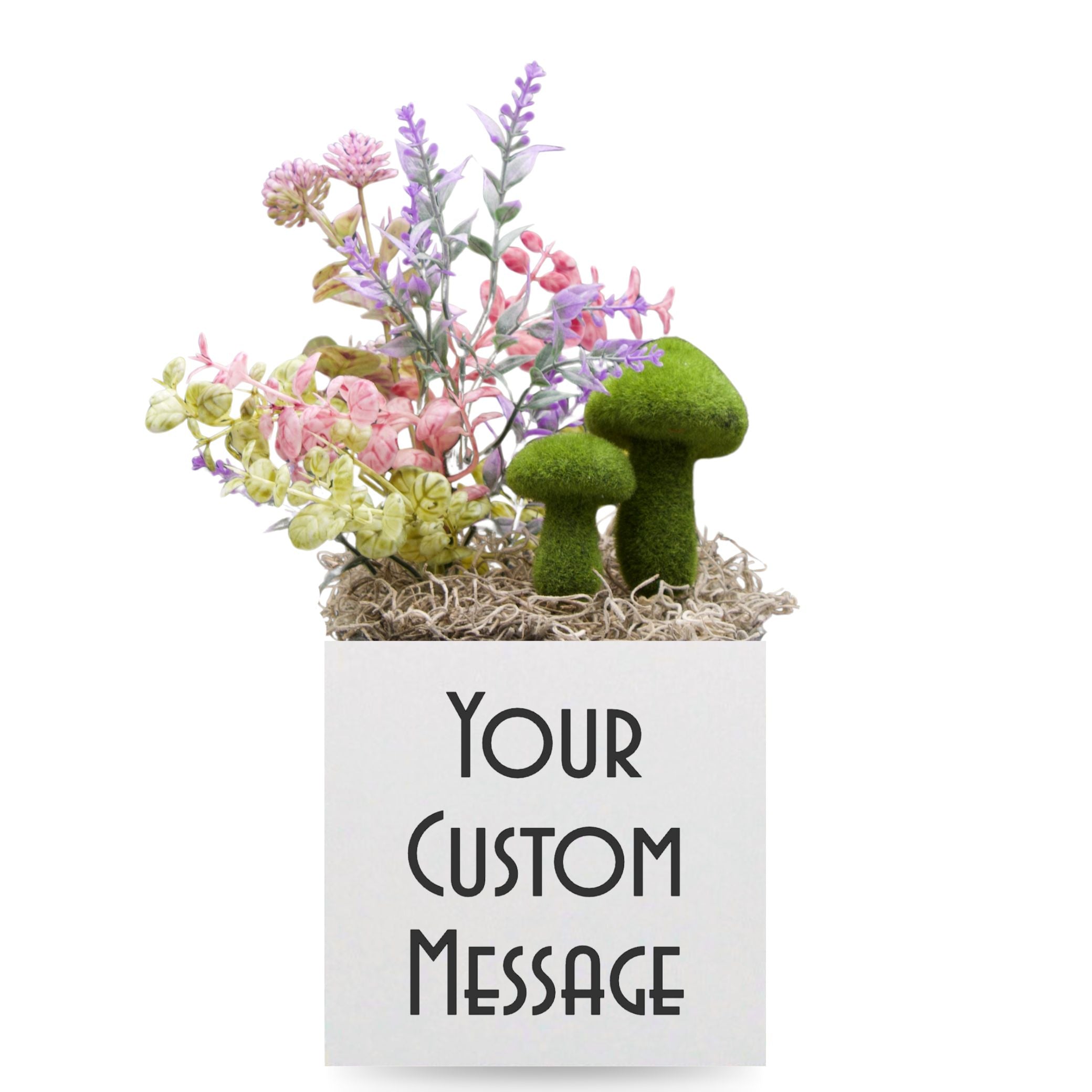 Little Envy Custom Message Box