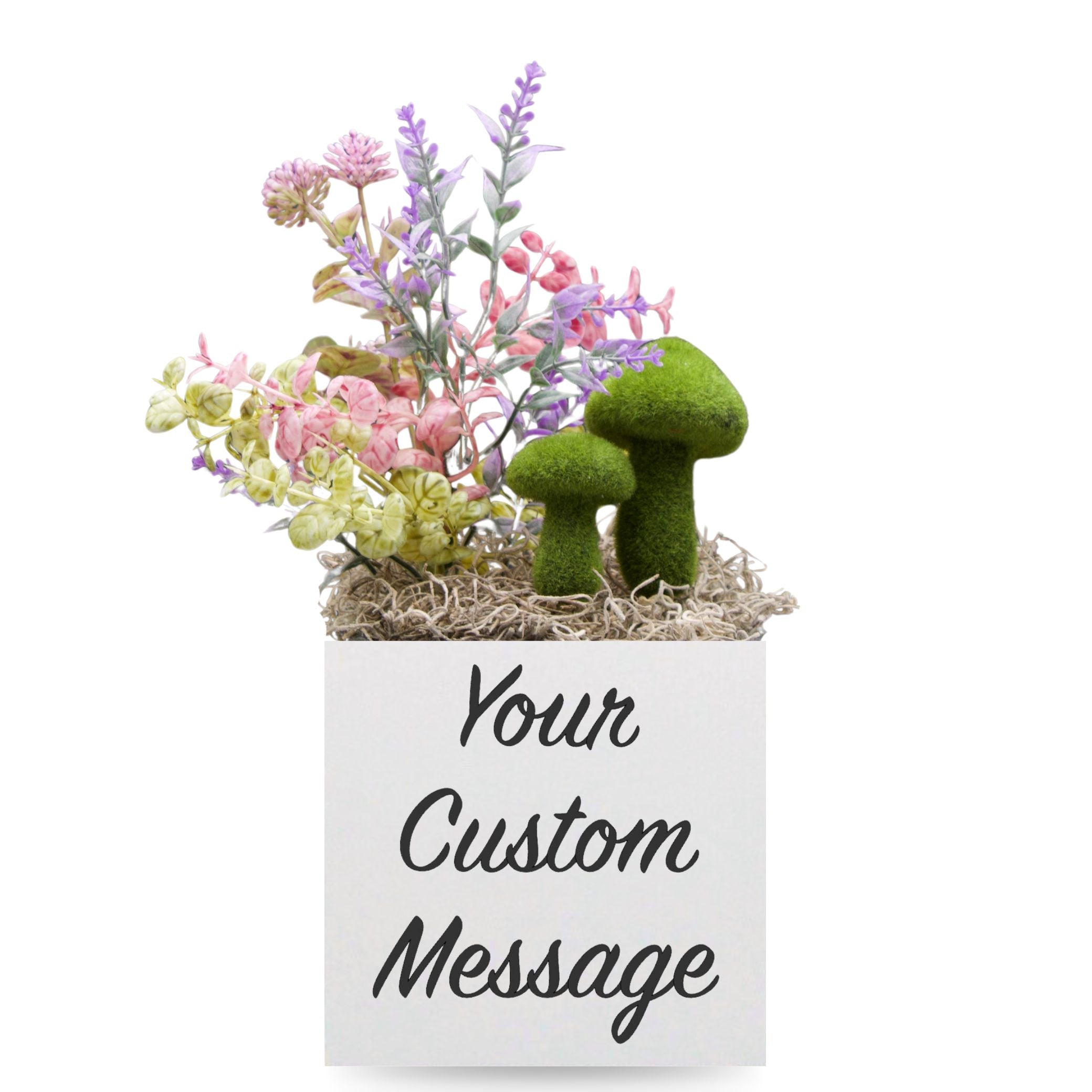 Little Envy Custom Message Box