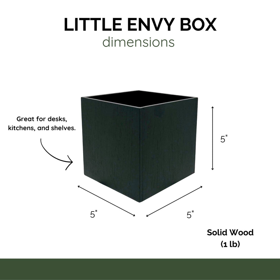 Little Envy Wifi Network Custom Box